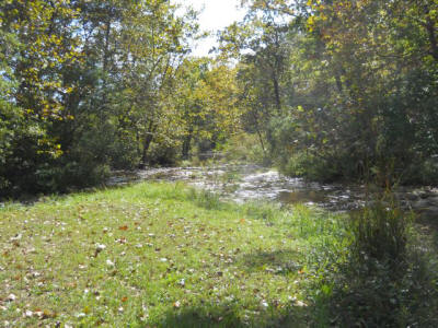 this creek runs through the deer hunt lease farm